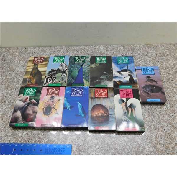 Lot of 11 The Trials of Life Hosted by David Attenborough VHS