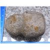 Image 2 : Grooved Primitive Stone Axe / Hammer Head Tool