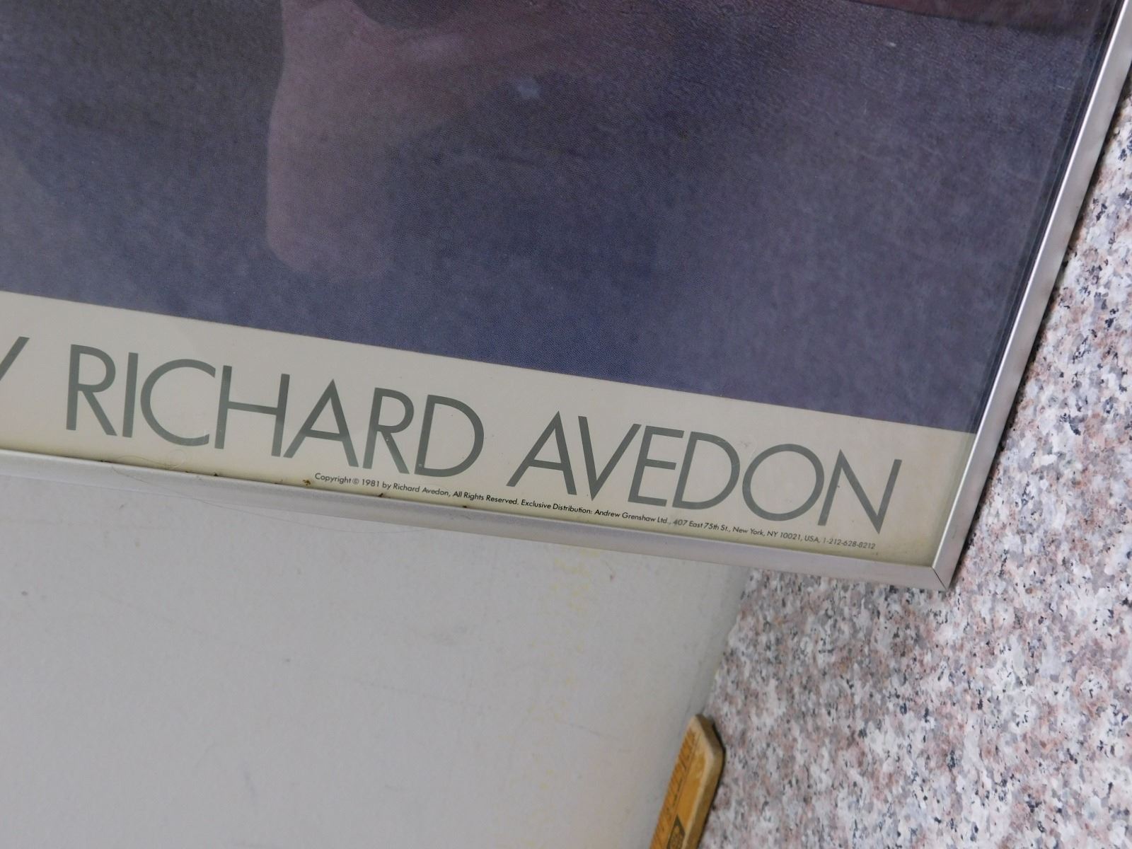 Framed Nastassja Kinski and The Serpent Photographed by Richard Avedon 1981