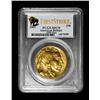 Image 1 : 2009 American Gold Buffalo G$50 Graded PCGS MS70 First Strke .9999 24k