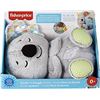 Image 1 : FISHER-PRICE SOOTHE 'N SNUGGLE KOALA