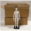 Image 1 : NEW REPACK MALE/FEMALE 11" HUMAN BODY ANATOMY