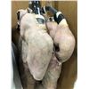 Image 2 : Group of prosthetic custom made suits & molds - 4 torso suits / ears / cheeks / forehead / hips