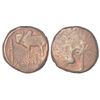 Image 1 : Ancient India: Saketa region - Ayodhya area, copper coin of Ayumitra, PAIC 1064, 6.46g.