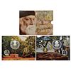 Image 1 : Republic India: 2011, 150th Birth Anniversary of Rabindranath Tagore, proof set of 2 coins.