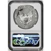 Image 2 : 1993-P $1 Proof American Silver Eagle Coin NGC PF69 Ultra Cameo