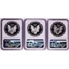 Image 2 : Lot of 1991-1993 $1 Proof American Silver Eagle Coins NGC PF69 Ultra Cameo