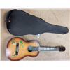 Image 1 : Hawaii Guitar & Case Anado Special