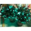 Image 1 : Christmas Bushes 26T