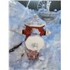 Image 1 : Red Fire Hydrant Lawn Decoration