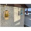 Image 5 : 13 x Coloured Vintage Lanterns