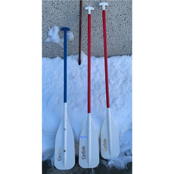 3 x Canoe Paddles - Adult (2) and Children's (1)
