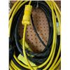Image 2 : Assortment of Heavy Duty Extension Cords