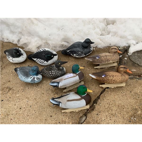 Assortment of Duck Decoys