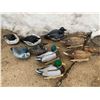 Image 1 : Assortment of Duck Decoys