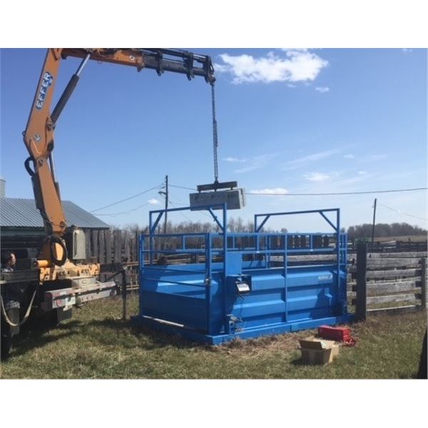 Norac multi-animal weigh scale w/ new scale head  8 ft x 12 ft