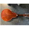 Image 2 : 1950-1960 547 HOFNER (A STYLE) MANDOLIN - MAHOGANY TOP & BODY, ROSEWOOD FRETBOARD & MAPLE NECK