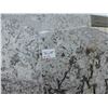 Image 3 : 3- Slab Pces, Various sizes x 1 1/4" thick, Compac snow Quartz and Bianco antico Granite
