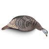 Image 1 : Hunter Specialties Strut-Lite Feeding Hen Decoy, New