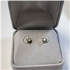 Image 3 : 14K YELLOW GOLD CZ WITH 14K SILICON BACKS EARRINGS