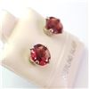 Image 2 : SILVER GARNET(2.5CT) EARRINGS