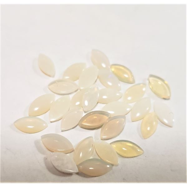 OPAL (APP 4CT)