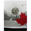 Image 4 : Spirit of Canada Coin