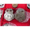 Image 8 : Multiple Badges: Indian Police, Red Lake Nation, American Horse Coins, etc in Display Case