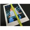 Image 8 : Galadriel and the Mirror Art Print from Original Oil Painting Signed by Donato Giancola 13"x18"