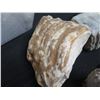 Image 8 : Bin Large Rock & Polished Stone Collection (Providence Unknown)