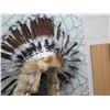 Image 8 : Qty 2 Native American Feather Headdresses w/ Pelt Accents