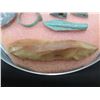 Image 8 : Qty 6 Rings, 6 Arrowhead Tips & 2 Stones in Plastic Display