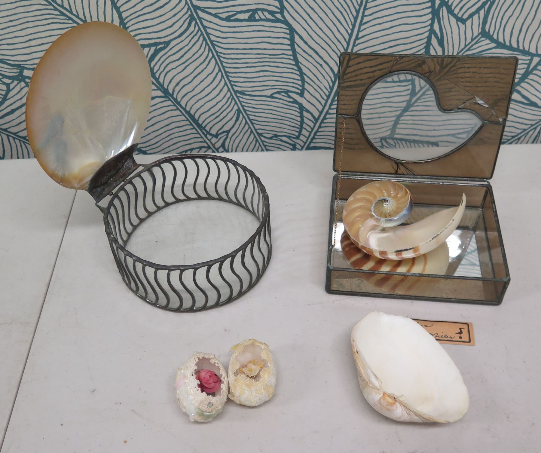 Leonnard Shell Qty 2 Boxes w/ Shell Lids (1 by Leonard Miller) & Misc Shells