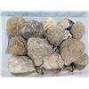 Image 2 : Bin Multiple (Approx. 30) Rocks & Geode Sections (Providence Unknown)