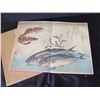 Image 8 : Hiroshige A Shoal of Fishes Studio Book Metropolitan Museum of Art 1980 w/ Pull Out Art