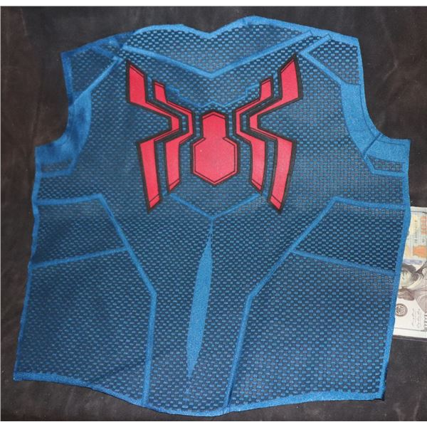 SPIDER-MAN BACK PANEL WITH GLYPH AND WEBBING STUNT 3 SUPER HERO