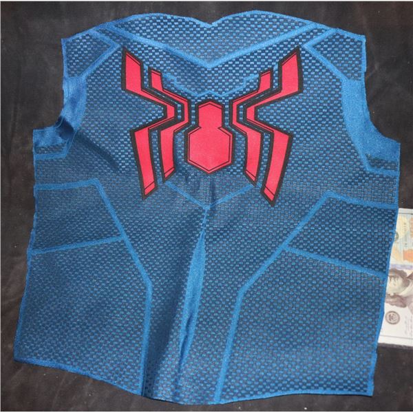 SPIDER-MAN BACK PANEL WITH GLYPH AND WEBBING STUNT 4 SUPER HERO