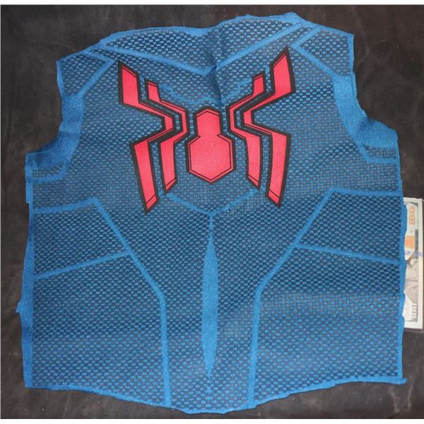 SPIDER-MAN BACK PANEL WITH GLYPH AND WEBBING STUNT 2 SUPER HERO