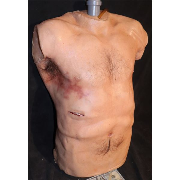 SILICONE FULL TORSO SURGERY RIG