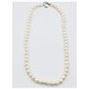 Image 2 : NEW BASE METAL NATURAL FRESHWATER PEARL NECKLACE WITH TOGGLE CLASP, APPROX 58 PEARLS, W/A $580.00, P