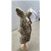 Image 2 : BUNNY JEWLERY HANGER WITH COSTUME JEWLERY