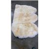 Image 1 : WHITE SHEEPSKIN RUG