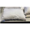 Image 2 : 4 PILLOWS