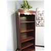 Image 1 : Mahogany Bookcase w/Silk Plant