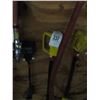 Image 2 : Extension Cord and Adapters