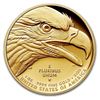 Image 2 : 2021 American Liberty High Relief Gold Coin