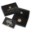 Image 3 : 2021 American Liberty High Relief Gold Coin