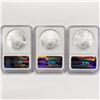 Image 2 : 2006-2008 Set (3) American Silver Eagles NGC MS69