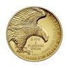Image 3 : 2019 American Liberty High Relief Gold Coin