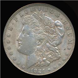 1921 Morgan Dollar Graded Hi Grade PCGS (COI-5229)